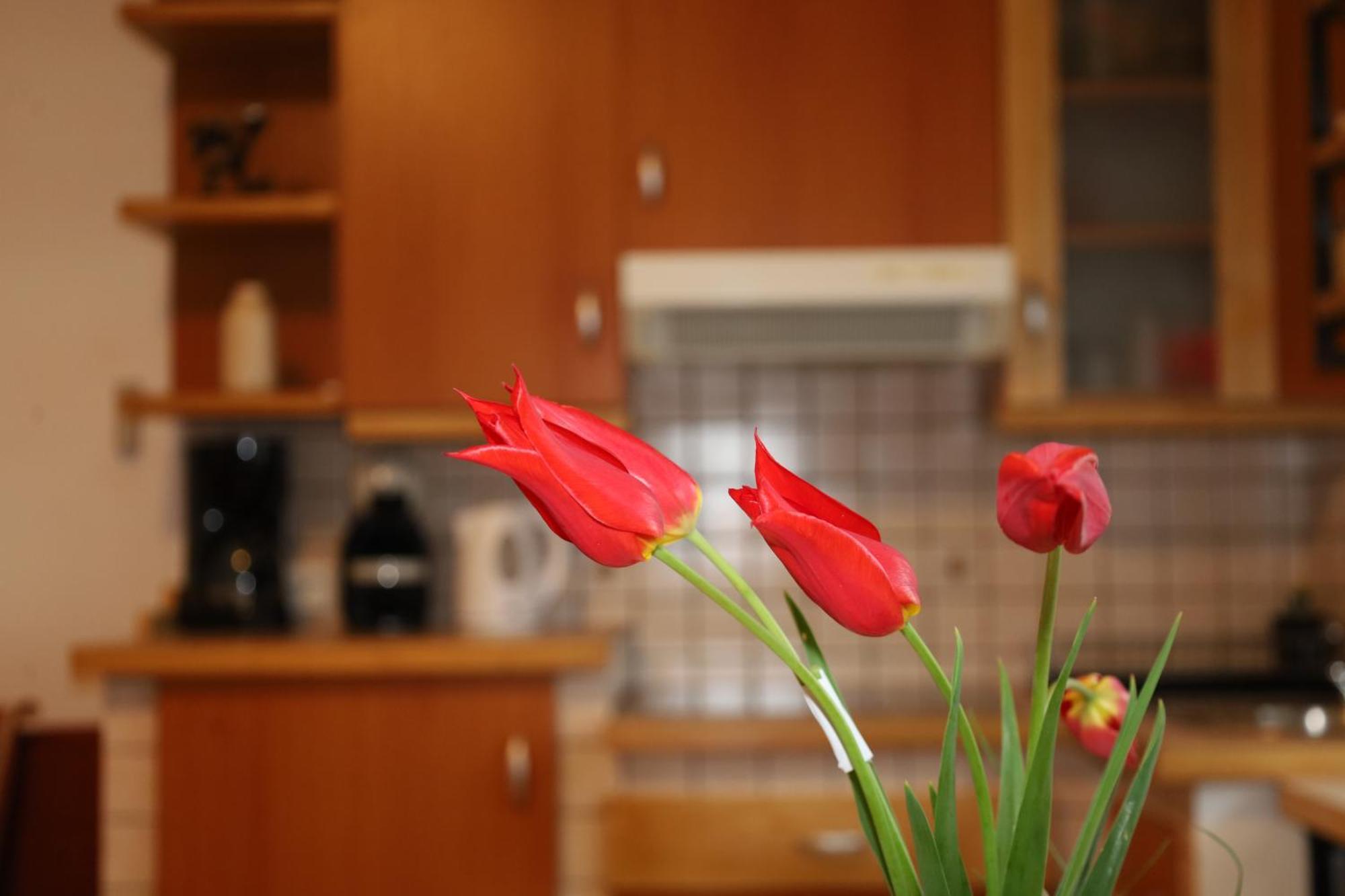 Apartment Norma Bovec Exteriér fotografie